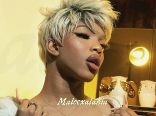 malecxalahia Année du sexe