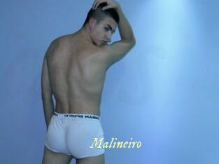 Malineiro