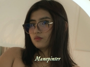 Manepinter