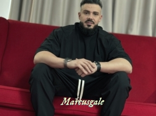 marcusgale Année du sexe