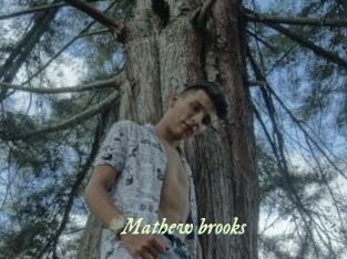 Mathew_brooks