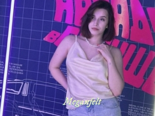 Meganfelt