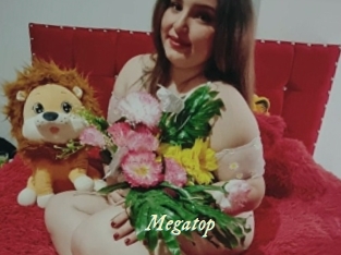 Megatop