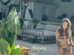 Mileyrey