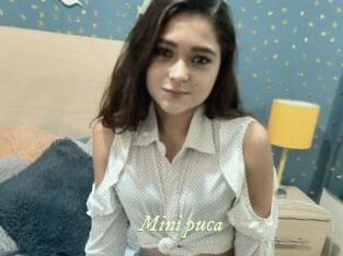 Mini_puca