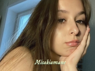 Misakiamane
