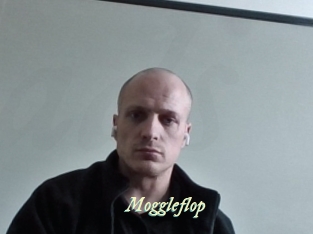 moggleflop Année du sexe