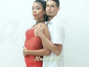 Mulataaleh