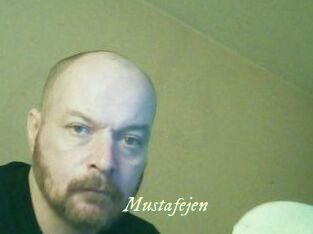 Mustafejen