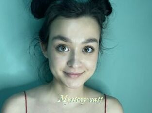 Mystery_catt