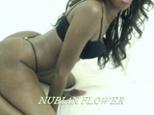 NUBIAN_FLOWER
