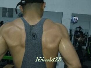 NiiccolASS