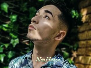NoaHarris