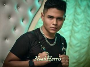 NoahHarris