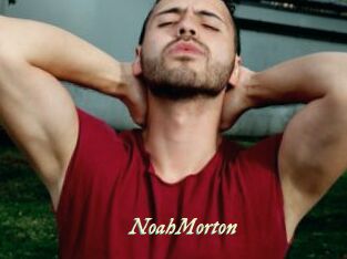 NoahMorton