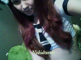 nakidturtle Année du sexe