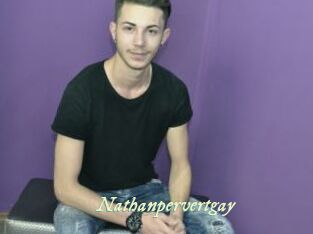 Nathanpervertgay