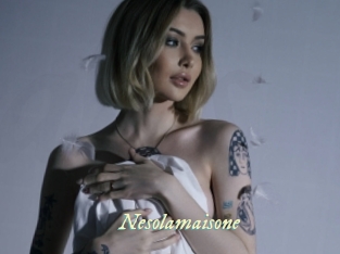 nesolamaisone Année du sexe
