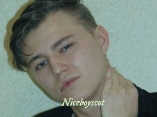 Niceboyscot