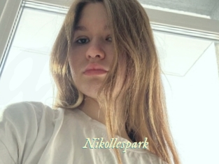 nikollespark Année du sexe
