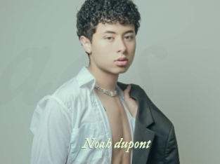 noah_dupont Année du sexe