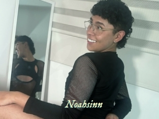 noahsinn Année du sexe