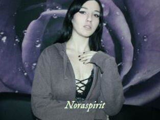 Noraspirit
