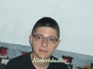 Norbertobadzso