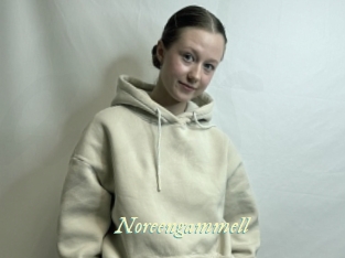 Noreengammell