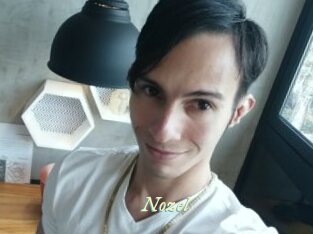 Nozel