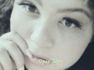 Opay_Skye
