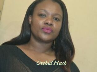 Orchid_Hush