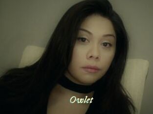 _Owlet_