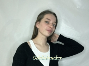 Odeliabrucker