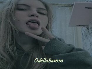 Odellahamm