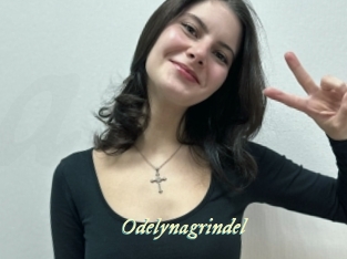 Odelynagrindel