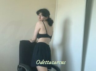 Odettacaecus