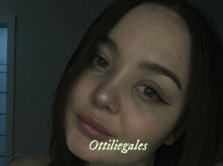 Ottiliegales