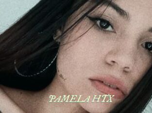 PAMELA_HTX