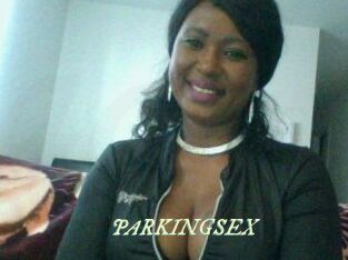 PARKINGSEX Année du sexe