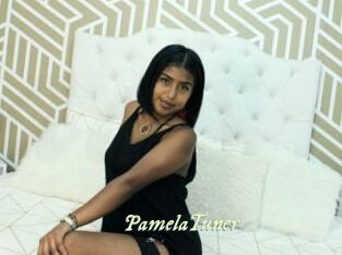 PamelaTuner