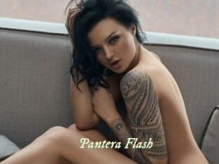 Pantera_Flash