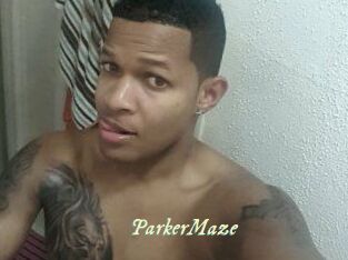 Parker_Maze
