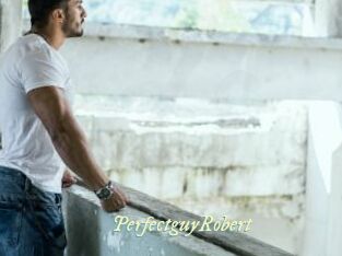 PerfectguyRobert