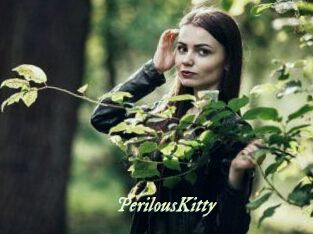 Perilous_Kitty