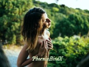 PhoenixBirdX