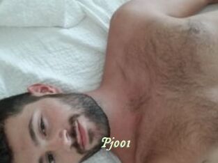 Pj001
