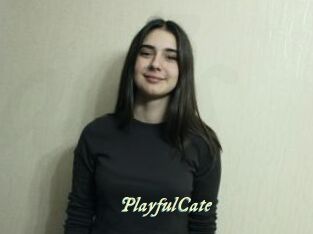 PlayfulCate