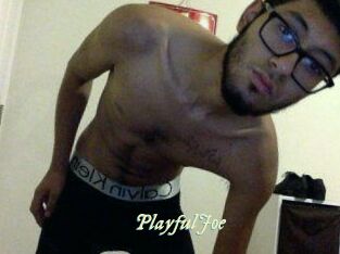 PlayfulJoe