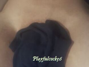 Playfulcock56